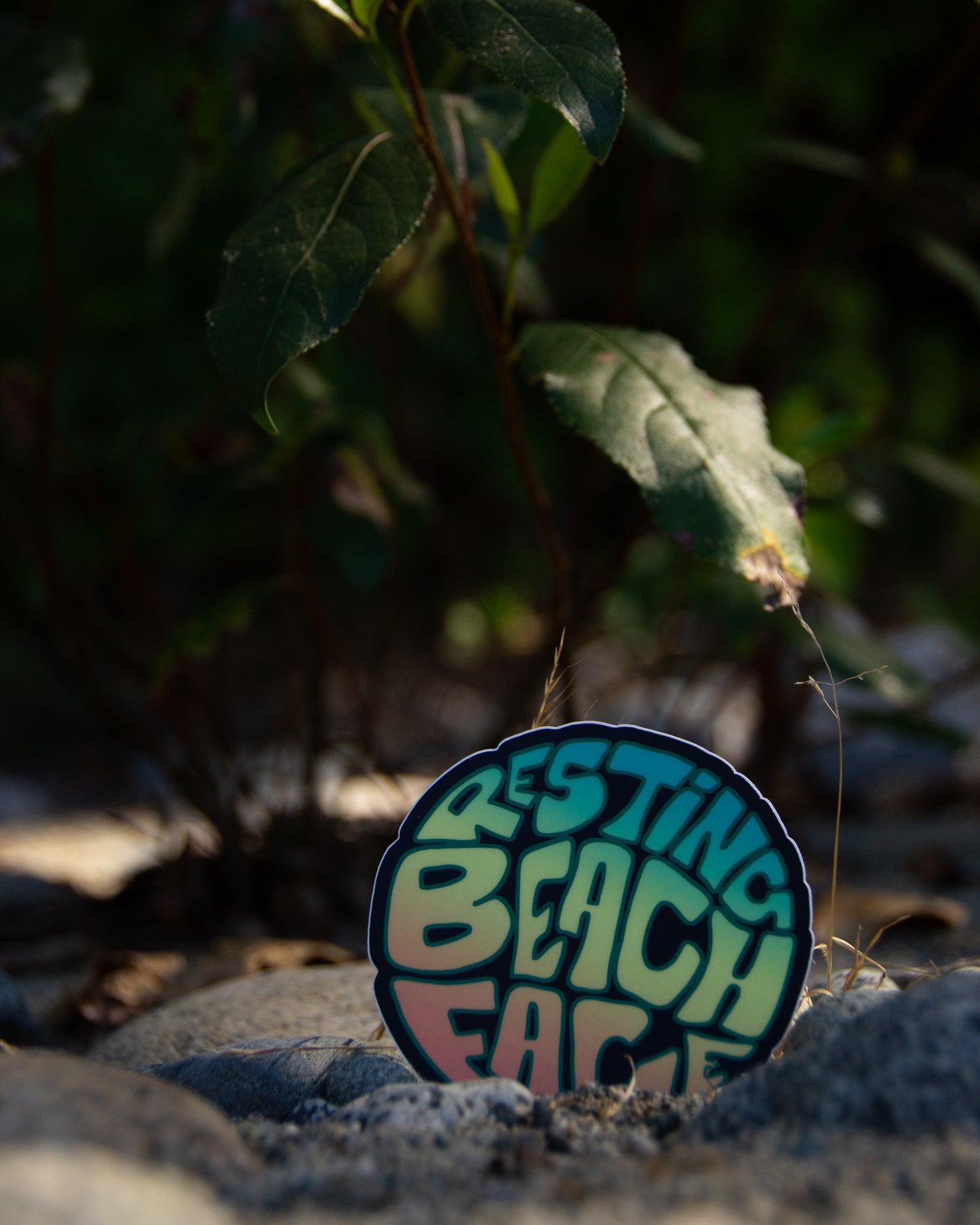 Waterproof Vinyl Sticker - Resting Beach Face