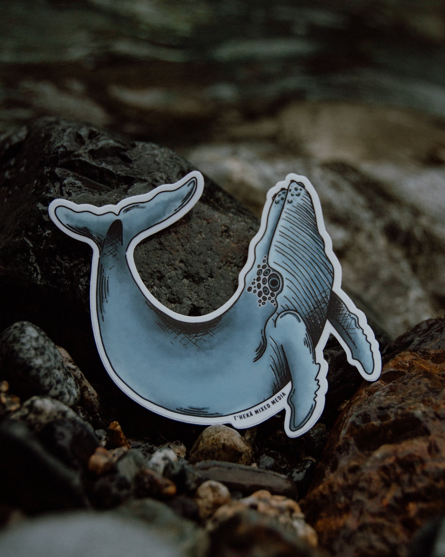 Waterproof Vinyl Sticker - Magical Humpback Whale