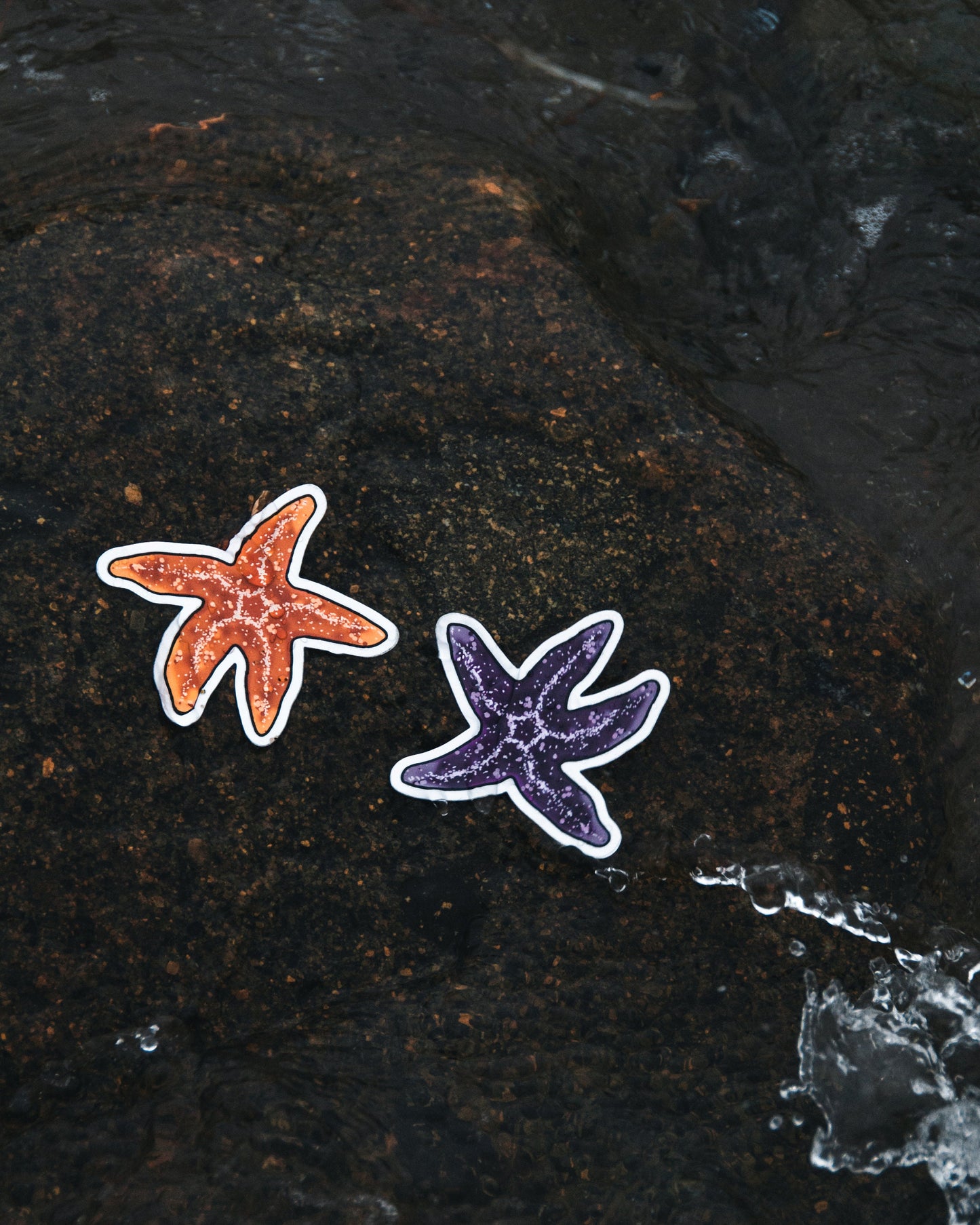 Waterproof Vinyl Sticker - Purple Starfish