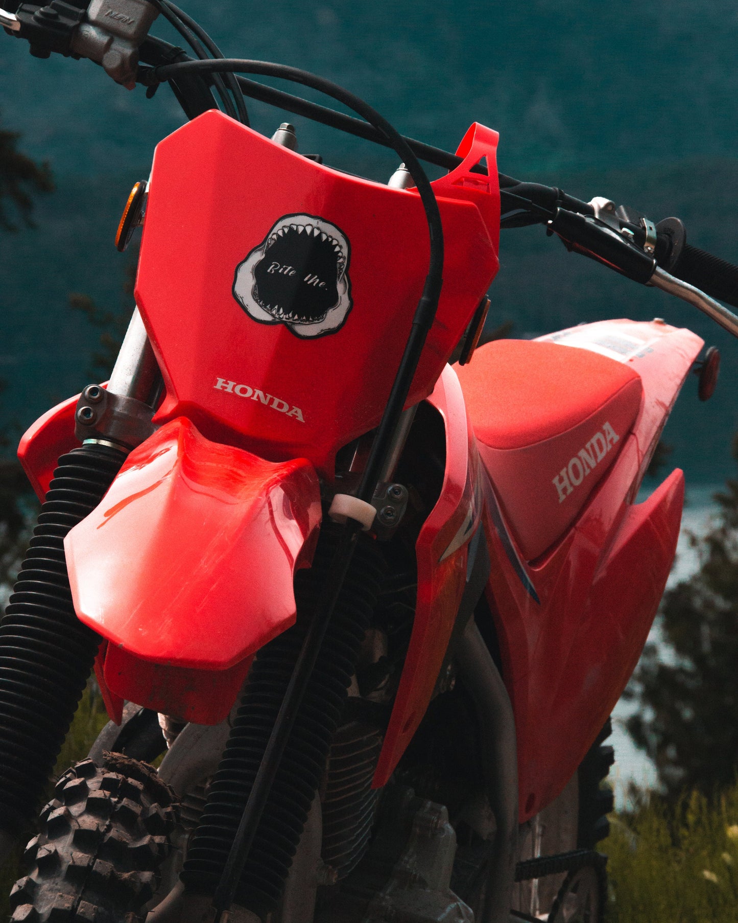 Waterproof Vinyl Sticker - "Bite Me" Shark Jaw Shark Tooth