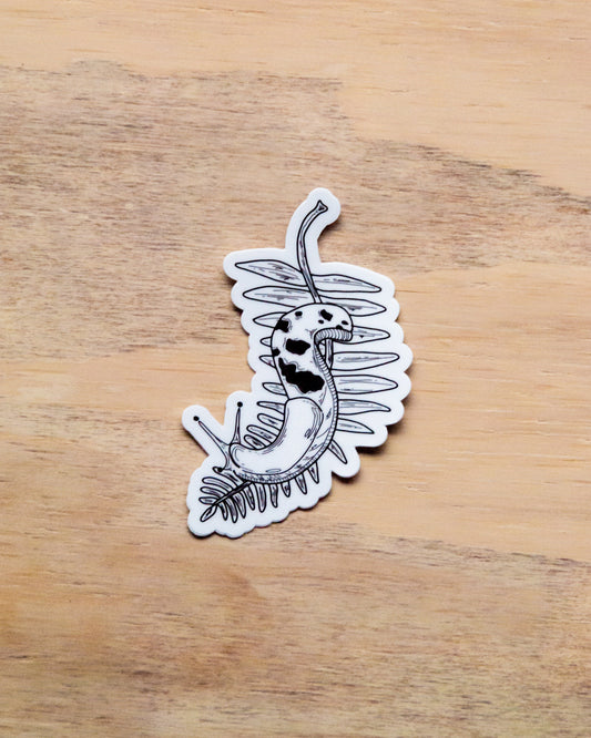 Waterproof Vinyl Sticker - Banana Slug