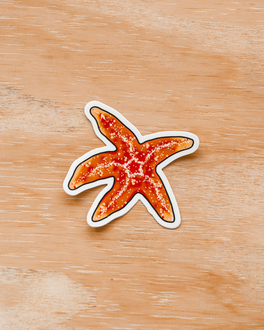 Waterproof Vinyl Sticker - Orange Starfish